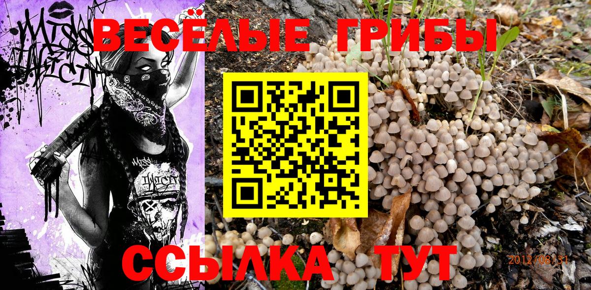 Псилоцибиновые грибы прущие грибы Сатка